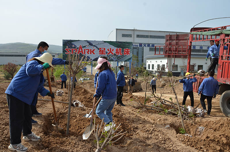 持續(xù)開(kāi)展義務(wù)植樹活動(dòng)  努力綠化美化工作環(huán)境